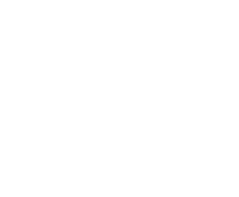 Budweiser Made in America logo