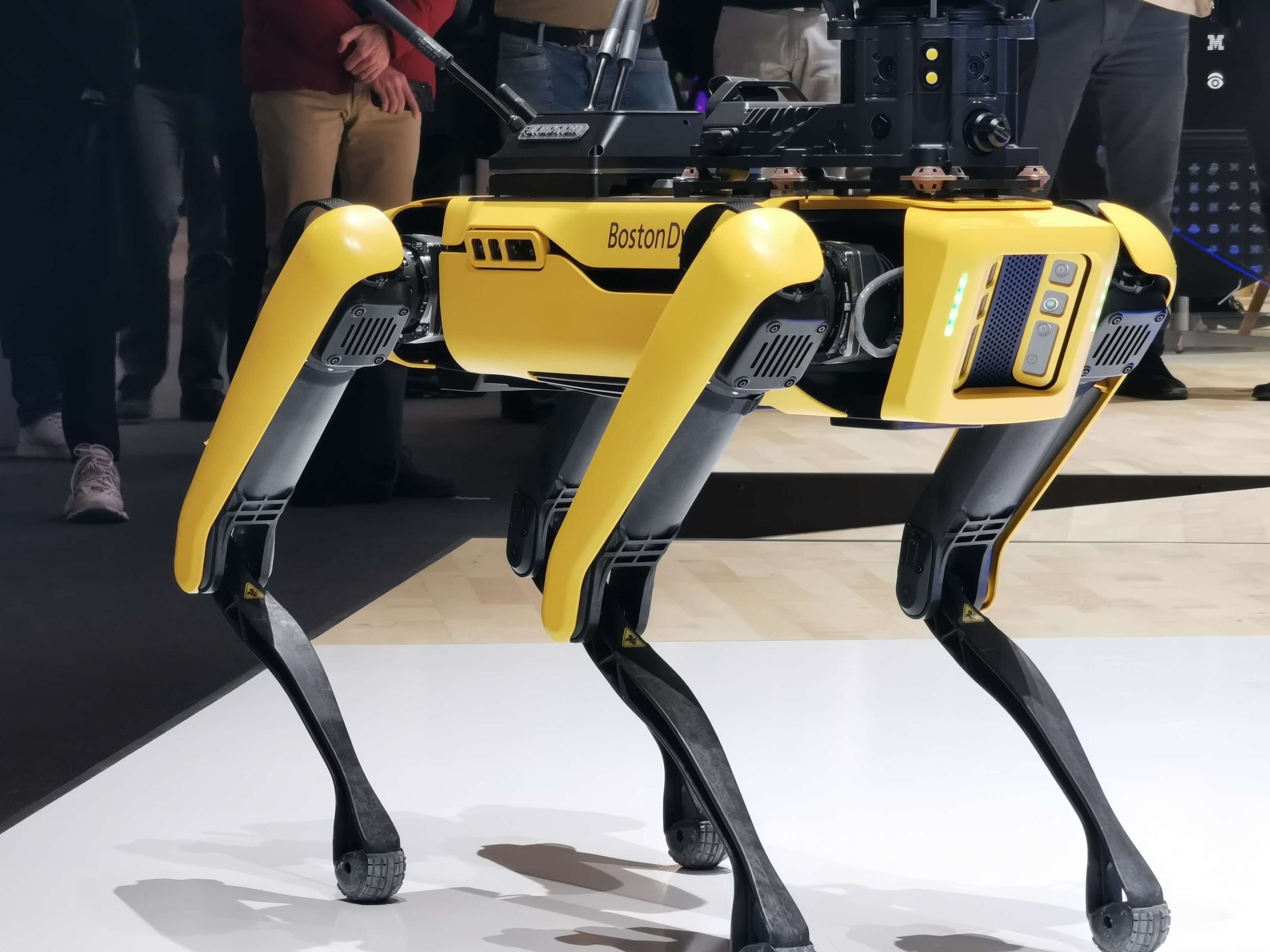 Boston Dymanics robot with 4 legs
